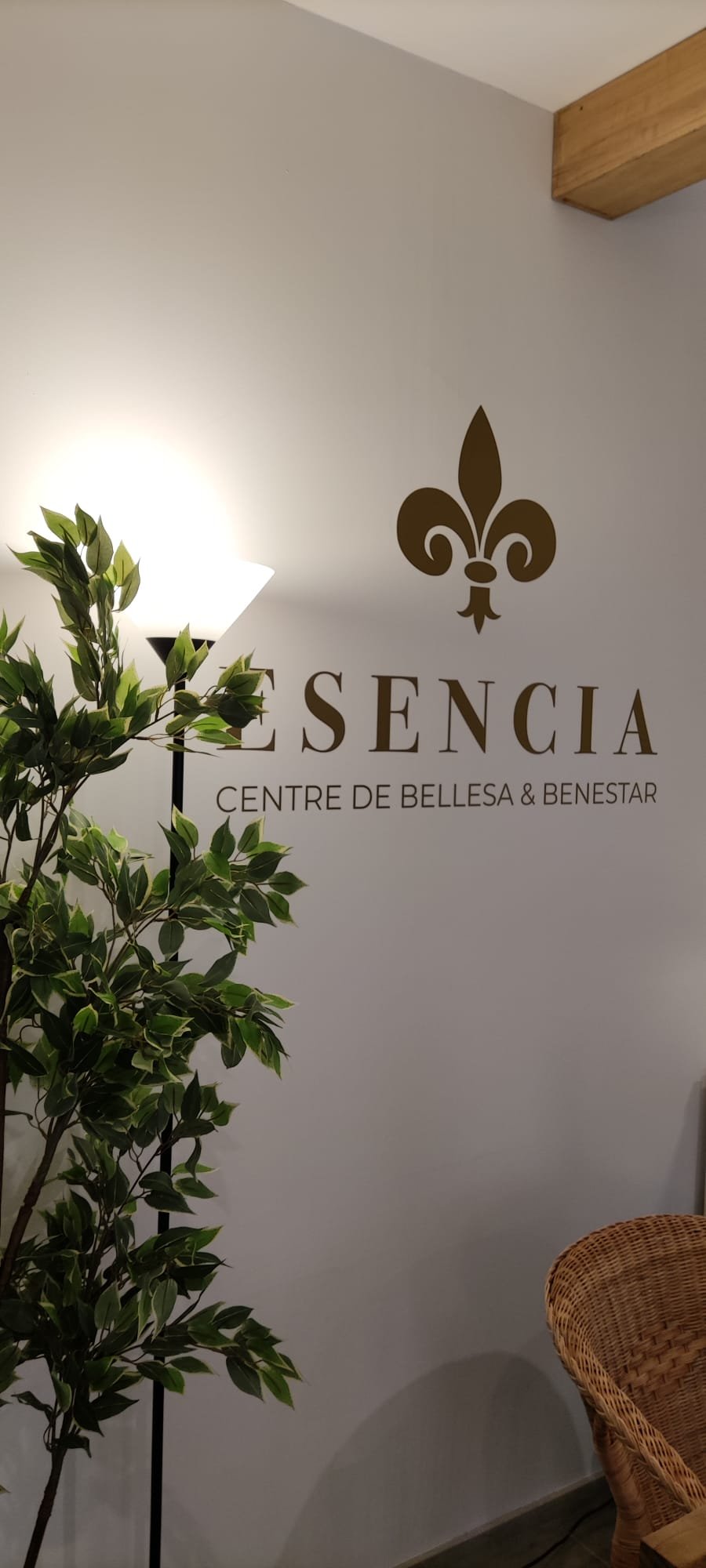 Esencia